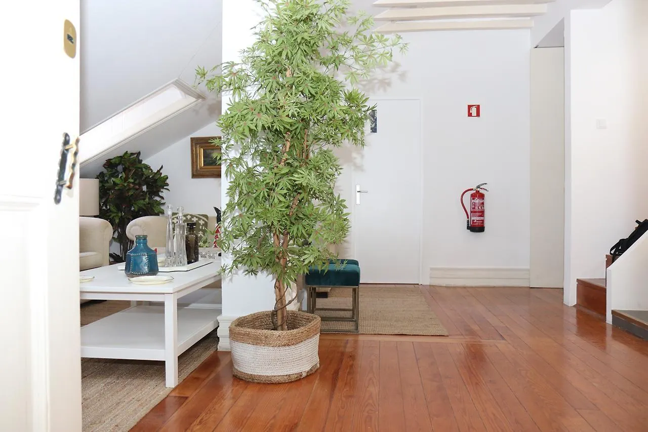 Botanic Views Guest House Lisbona